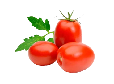 Tomate italiano